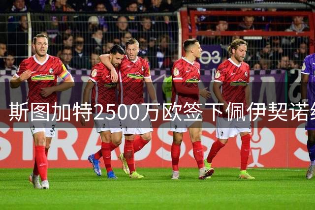 斯图加特2500万欧签下佩伊契诺维奇