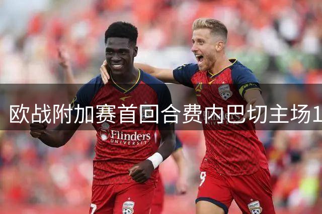 欧战附加赛首回合费内巴切主场1-1战平里昂
