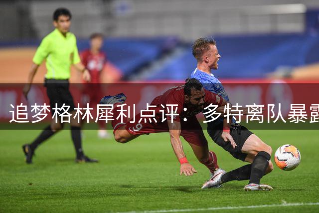 追梦格林犀利点评：多特离队暴露雷霆防守漏洞 老鹰弃将早有预谋